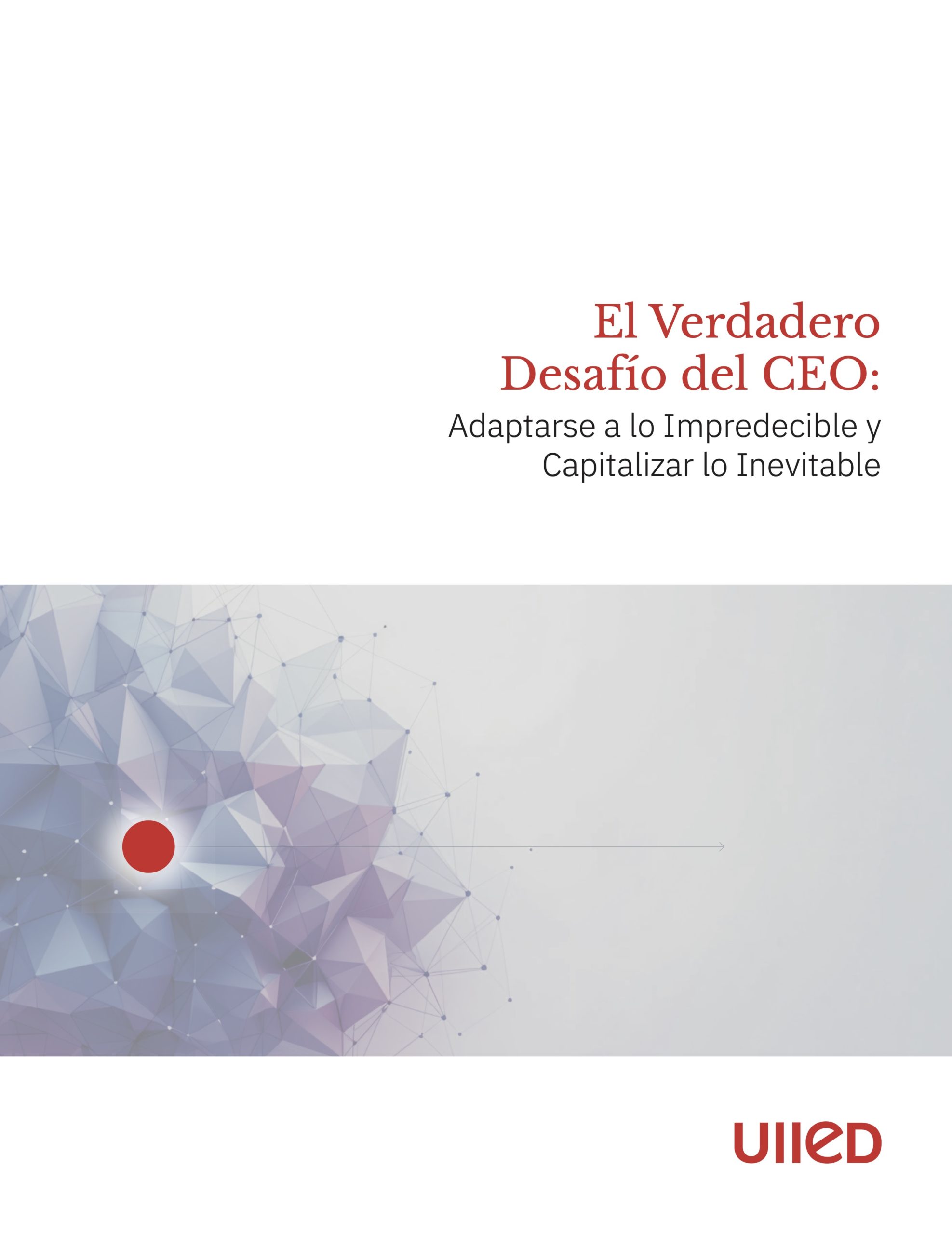 El verdadero desafio del CEO